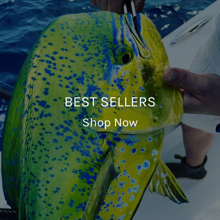 Best Sellers