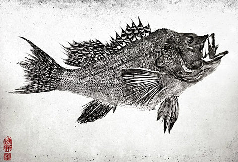 Black Sea Bass Gyotaku Artwork Dwight Hwang