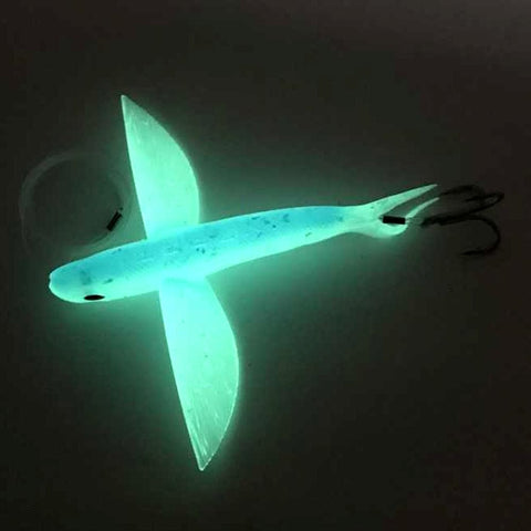 Flying Fish Glow in Dark