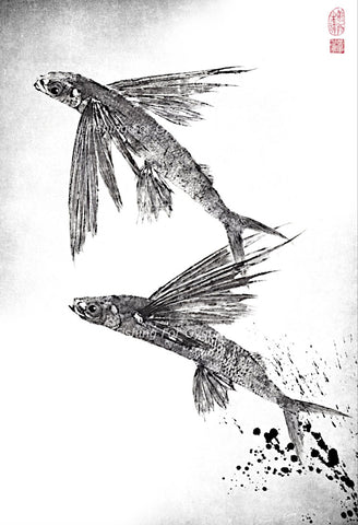 Dwight Hwang Pair Flying Fish Giclee Print Gyotaku