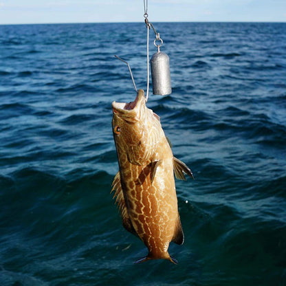 SeaYaLater Fish Release