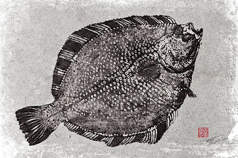 Starry Flounder Gyotaku Artwork by Dwight Hwang