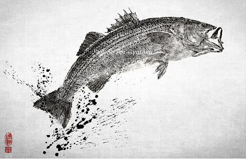 Striped Bass Gyotaku Artwork Dwight Hwang